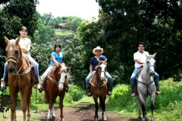 Nuestros visitantes